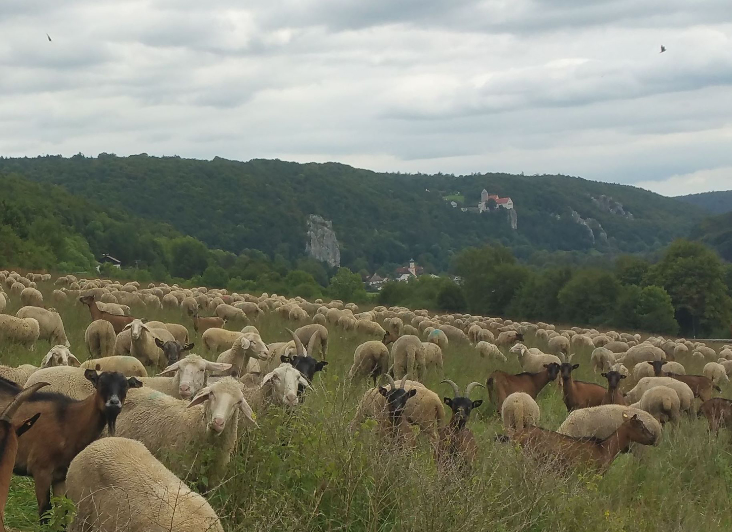 Natur pur - Leben wie im Paradies